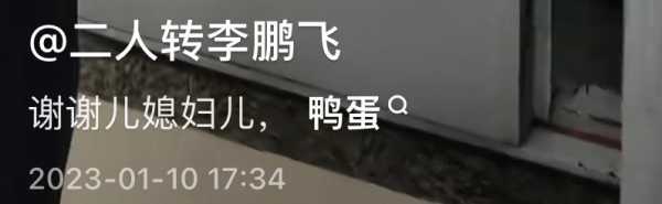 丫蛋第三任丈夫叫什么?丫蛋死因