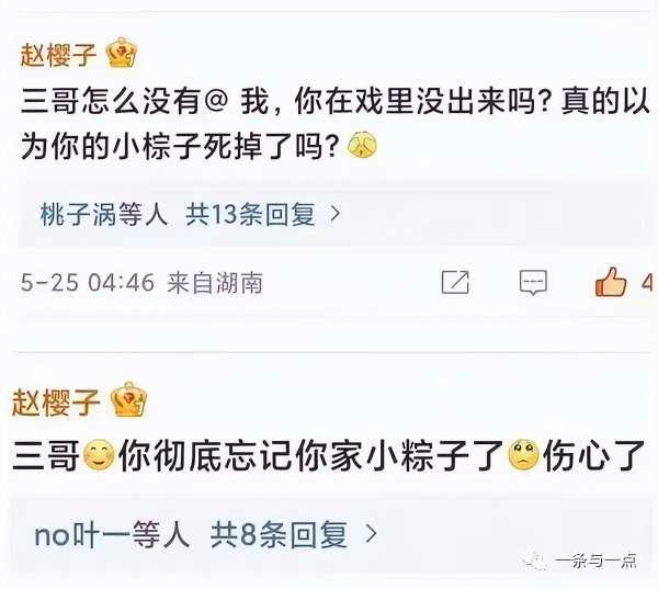 赵樱子是几线明星?赵樱子为什么讨人厌