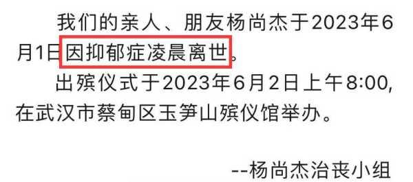 导演杨尚杰抑郁症自杀去世!最后动态与华晨宇有关