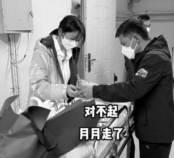 网红山东涛子老婆怀孕!三个月前2岁女儿刚去世