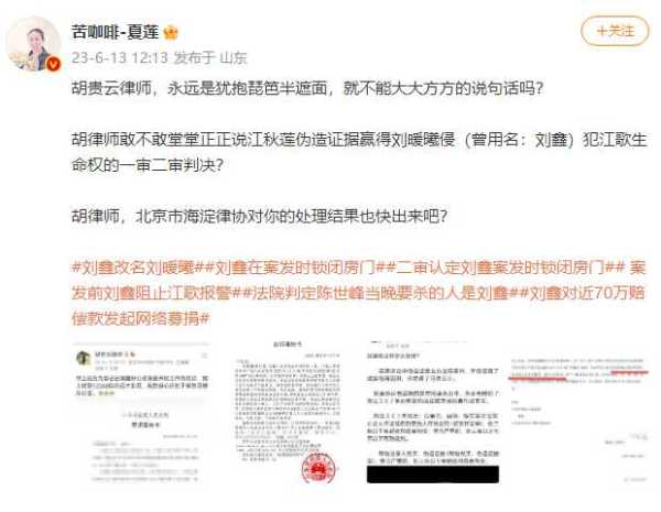 江歌母亲:刘鑫不服二审判决申请再审