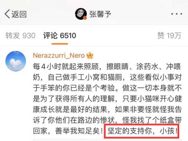 张馨予和何捷是怎么认识的?2023罕见秀恩爱