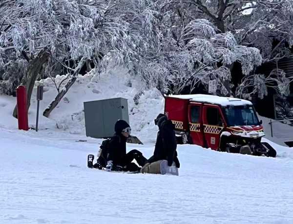 谢霆锋张柏芝被曝出消息!教儿子Lucas滑雪