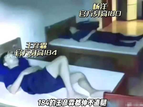 杨洋即将开拍的新剧男二号是徐海乔