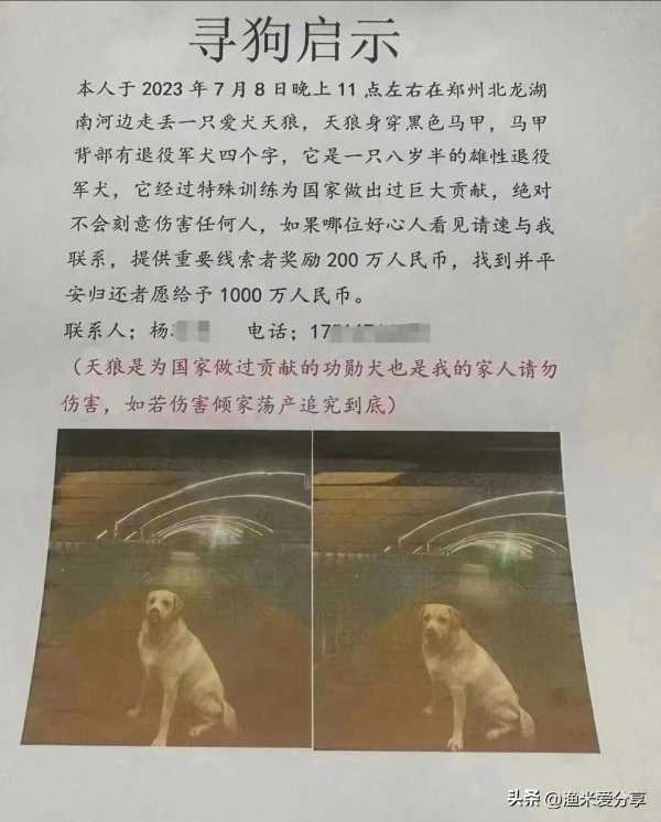 “1000万寻狗”事件背后疑有推手