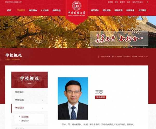 原央视主持人王志履新:任中央民族大学副校长