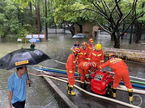 佛山动物园辟谣暴雨致动物出逃