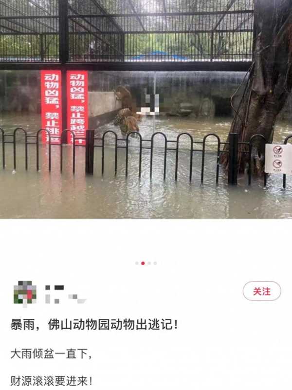 佛山动物园辟谣暴雨致动物出逃