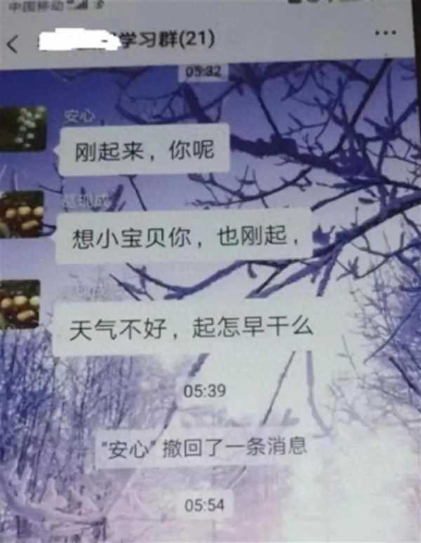 村书记在工作群喊“宝贝”被停职