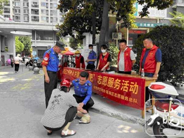 合肥：宠物狗出门不拴绳一律捕捉