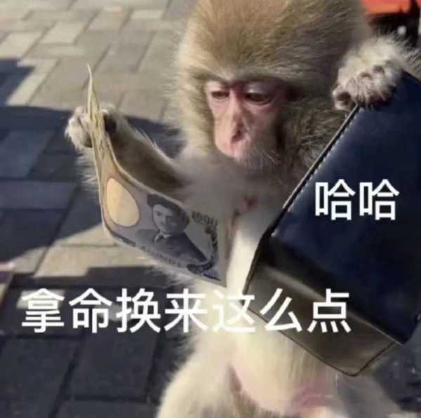 吗喽是什么意思?占领了年轻人的生活圈