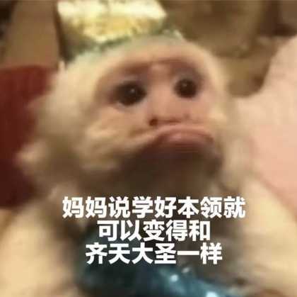 吗喽是什么意思?占领了年轻人的生活圈