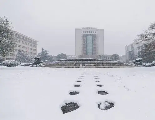 东北风雪天有多猛?市民手牵手被吹翻