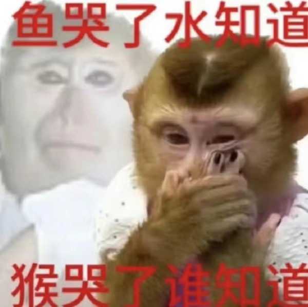 吗喽是什么意思?占领了年轻人的生活圈