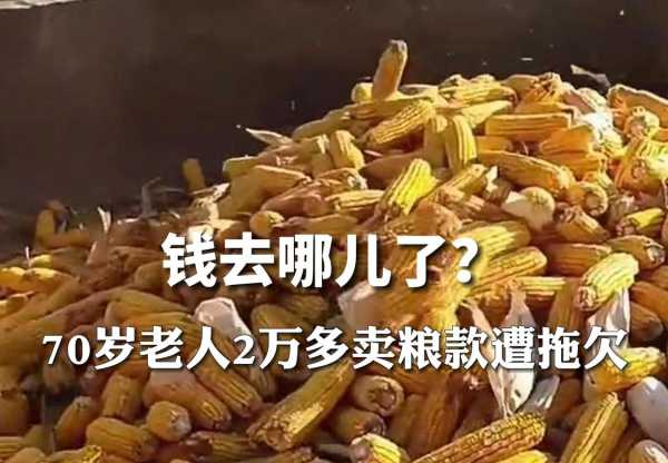 0岁老人2万多元卖粮款遭拖欠"