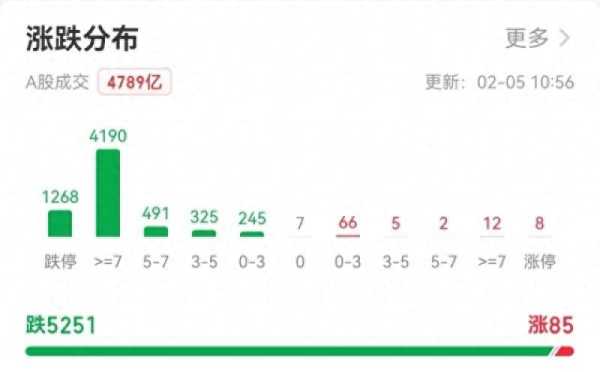 A股超千股跌停!2024股市灾难来临