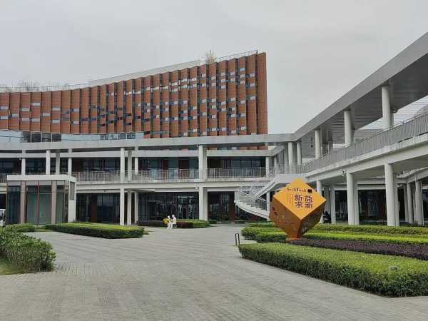 深圳这座一线城市又建大学了