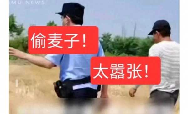 警方通报4万斤小麦遭盗割!当事双方达成和解