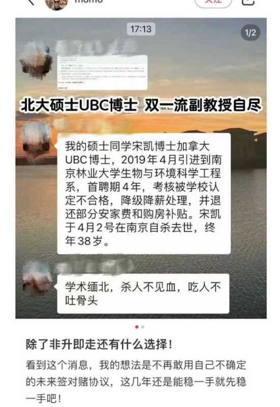 高校回应教师因非升即走压力自杀