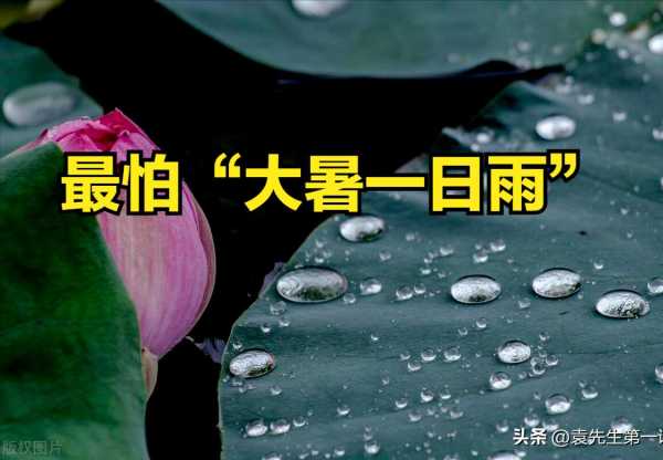 大暑下雨有啥预兆?老人说最怕“大暑一日雨”