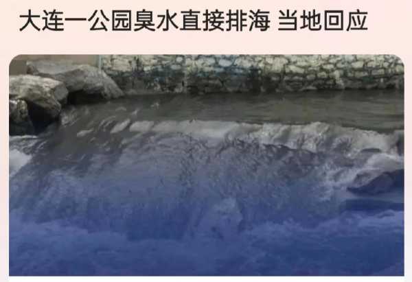 大连一公园臭水直接排海 当地回应