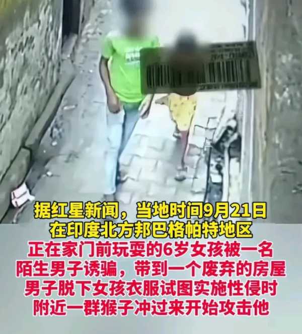 印度男子欲性侵女童时遭群猴攻击